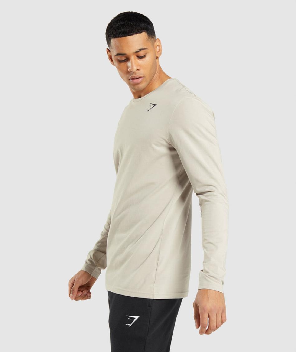 Long Sleeve Gymshark Essential Hombre Gris | CO 3507AHK